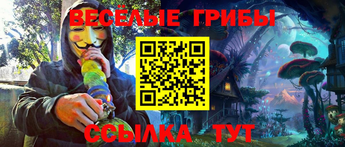 Псилоцибиновые грибы Cubensis Удомля