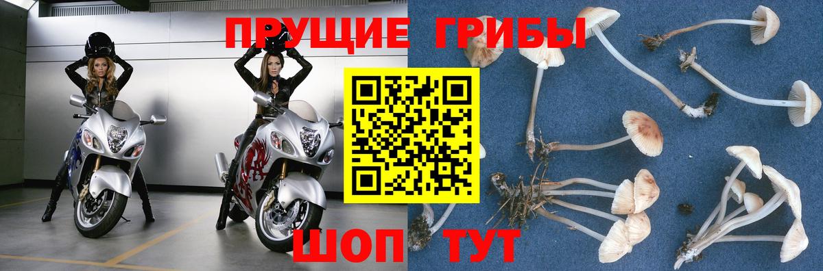Удомля  Псилоцибиновые грибы ЛСД  Галлюциногенные грибы Psilocybe  Вход с VPN 